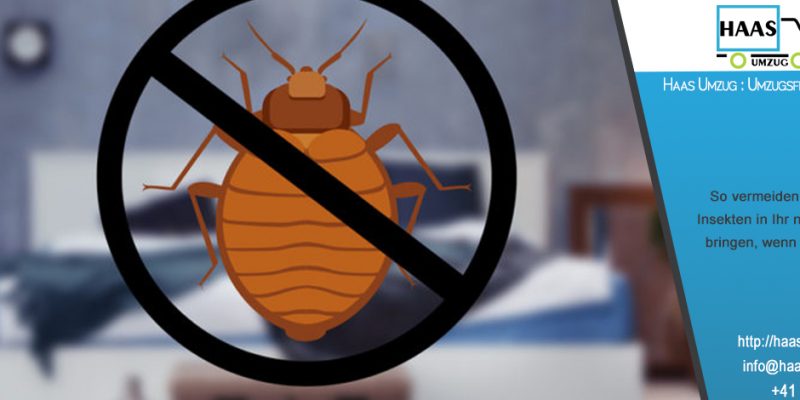 So vermeiden Sie, dass Sie Insekten in Ihr neues Zuhause bringen, wenn Sie umziehen. Haas Umzug : Umzugsfirma in Olten
