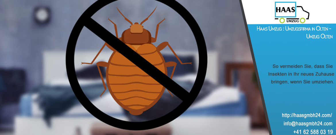 So vermeiden Sie, dass Sie Insekten in Ihr neues Zuhause bringen, wenn Sie umziehen. Haas Umzug : Umzugsfirma in Olten